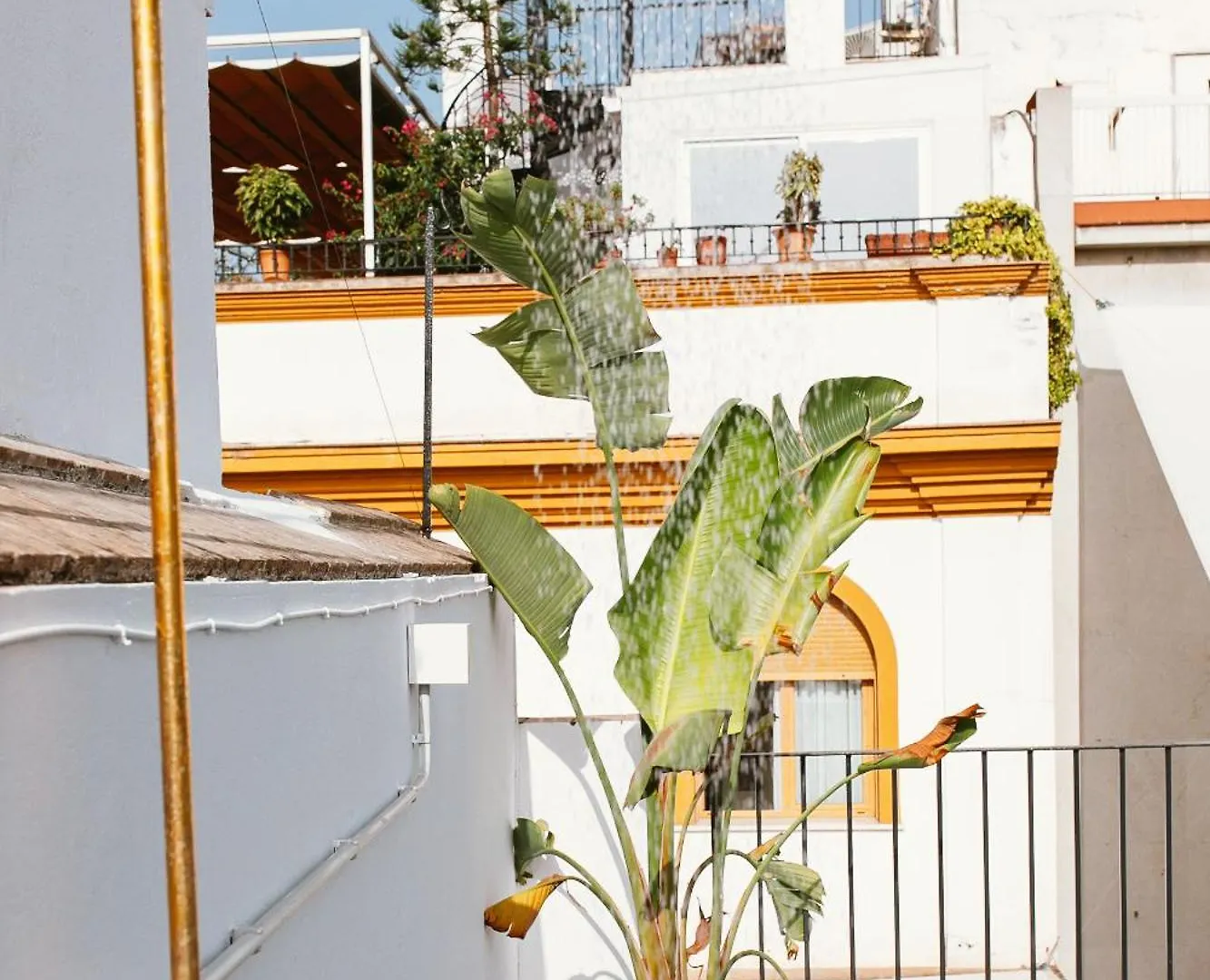 Apartment Lujoso Apartamento Con Piscina Compartida 1 Seville Spain